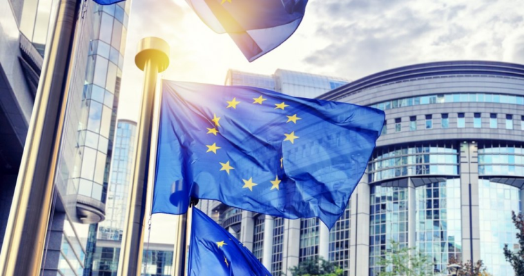 AUR, făcut de râs în Parlamentul European: După ce au pierdut acasă, vor să piardă și aici
