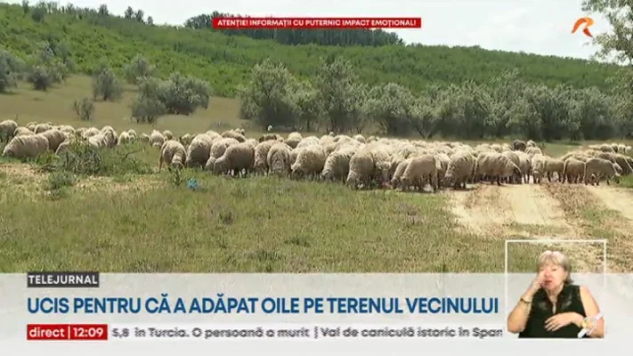 Un cioban a fost omorât în bătaie de proprietarul unui teren, pentru că şi-a dus oile la adăpat pe pământul lui