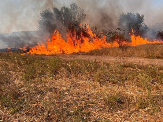 Incendiu de vegetație uscată și miriște la granița cu Bulgaria