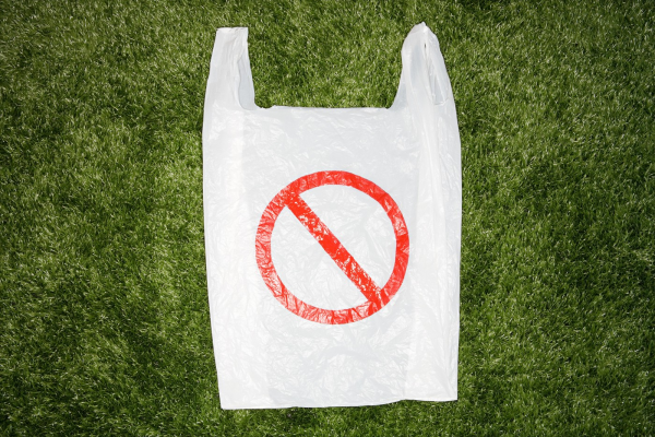 3 iulie, Ziua internațională fără pungi de plastic