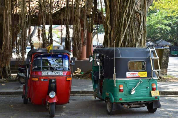 Noua tendință în turismul din Sri Lanka: vizitatorii închiriază tuk-tuk-uri direct de la localnici pentru a vizita peisajele zonei