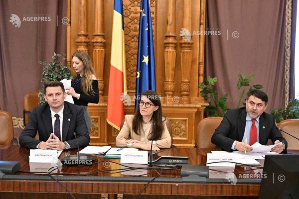 Parlament/ Proiectul referitor la pensiile private - avizat favorabil de Comisia comună pentru aderarea la OCDE