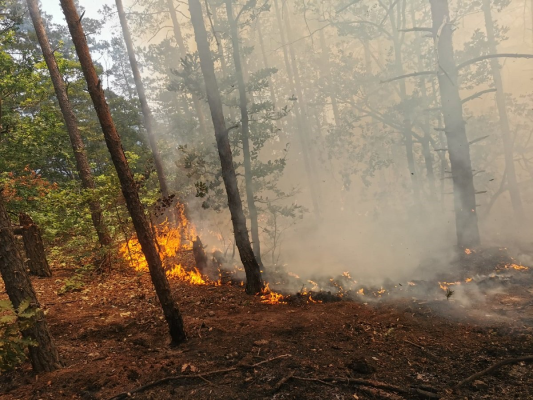 De trei zile pompierii intervin pentru stingerea unor incendii de vegetaţie pe Clisura Dunării / În acţiune sunt implicate şi două elicoptere