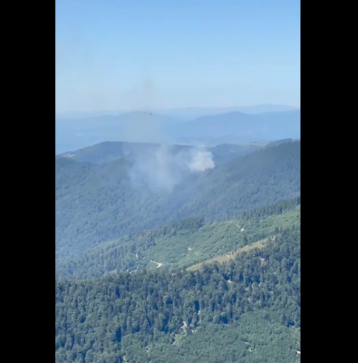 VIDEO Incendiu de fond forestier în Masivul Ţibleş / Un elicopter Black Hawk al Inspectoratului General de Aviaţie este deja în drum spre zona afectată