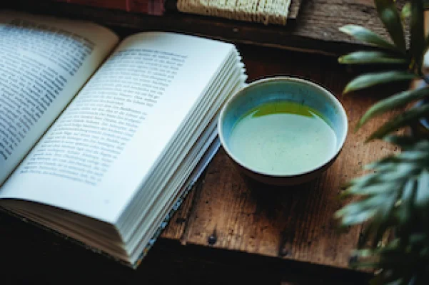 „Little Stranger” de Leigh Rivers – o poveste întunecată despre obsesie, trădare și pasiune interzisă