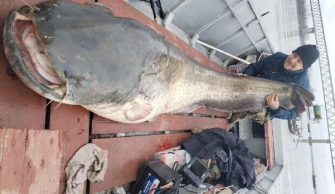 Somn de 90 kg, împușcat de polițiști după ce a rănit mai mulți oameni într-un lac din Bavaria