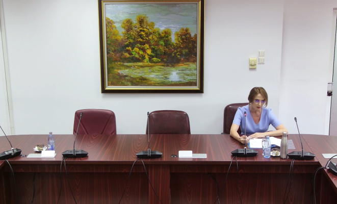 Lia Savonea, deranjată de opiniile separate la interviul pentru funcția de președinte al Înaltei Curți