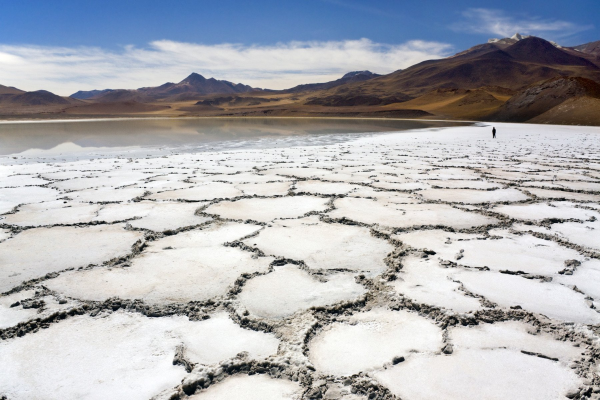 Cum alimentează boom-ul tehnologiei verzi o altă criză de mediu: Extracția de litiu usucă deșertul Atacama și amenință comunitățile indigene din Chile
