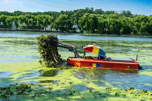 Vicepreședintele CJ Ilfov Ștefan Rădulescu: Acțiuni de ecologizare a lacului Mogoșoaia