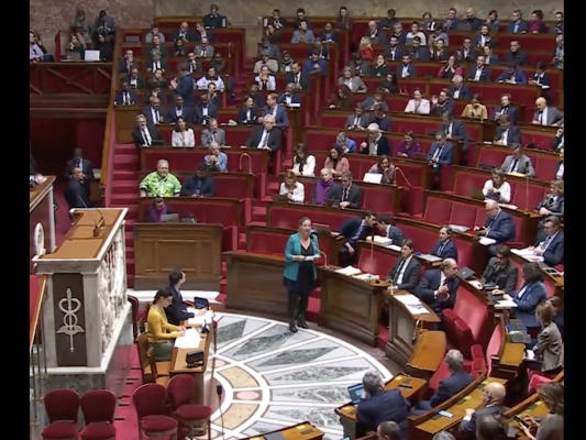 Trei deputaţi francezi, declaraţi ineligibili şi obligaţi să demisioneze de către Consiliul Constituţional, din cauza unor nereguli în conturile de campanie