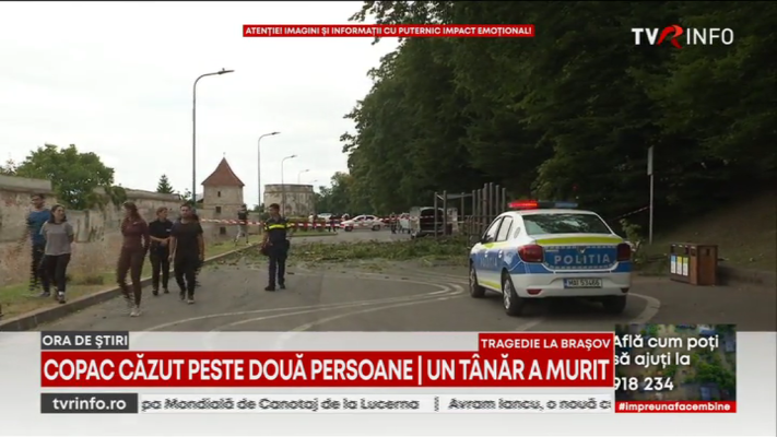 Tragedie în Brașov. Un copac s-a prăbușit peste doi oameni, un tânăr de 27 de ani a murit și o femeie a fost rănită