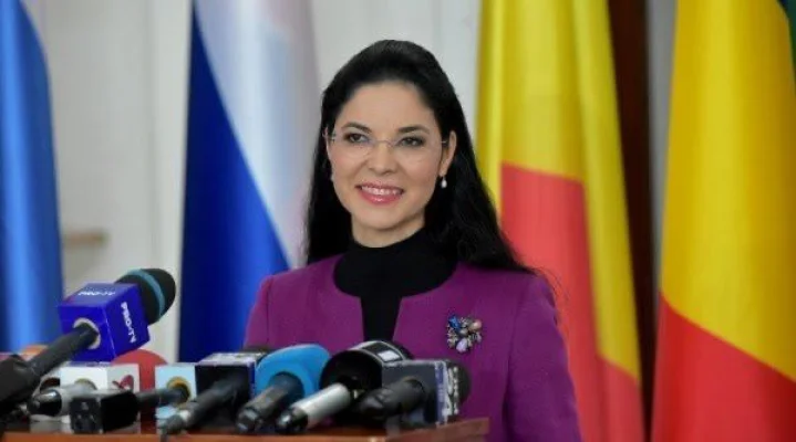 Consilierul prezidenţial Ana Birchall după numirea lui Darryl Nirenberg: Veste excelentă pentru România!