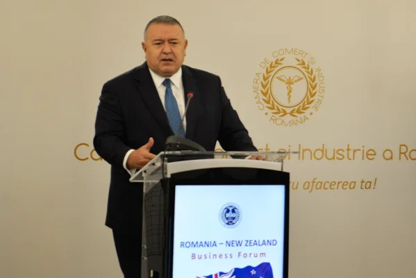 Mihai Daraban (CCIR) refuză să vadă 'perna pe fața' companiilor: Dacă mai pui și taxe, ai omorât mediul de afaceri!