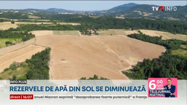 Culturi de porumb și floarea-soarelui din Bulgaria și Serbia, distruse de căldura extremă și secetă. Fermierii se orientează către cultivarea altor plante