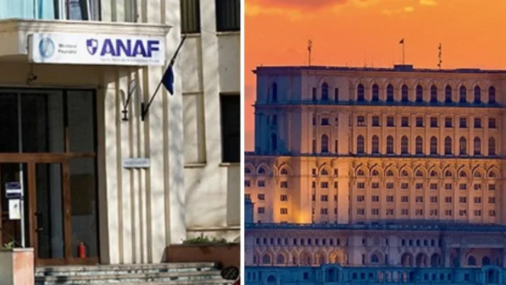 Șefa ANAF, audiată în Parlament ca să dea explicaţii în ceea ce privește evaziunea fiscală şi colectarea deficitară a taxelor