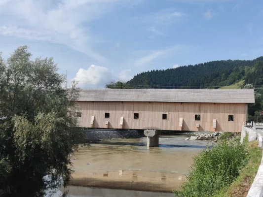 Cât timp i-a luat României să salveze de la prăbușire podul acoperit din satul lui Coșbuc