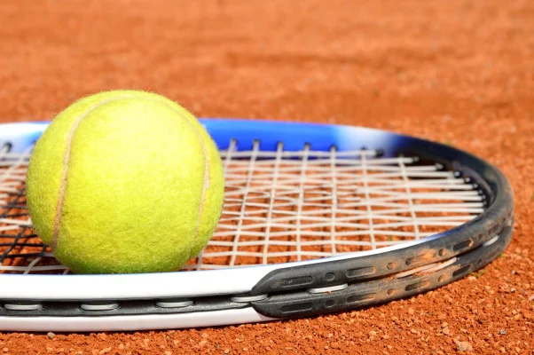 Americanii Stefan Dostanic şi Valerie Glozman au primit primele două wild-carduri US Open după ce au câştigat un turneu universitar