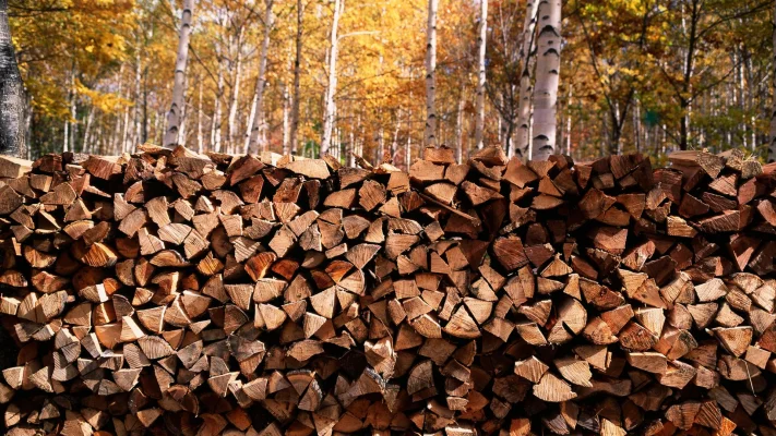Jumătate din lemnul tăiat ajunge în sobe. 3,5 milioane de gospodării din România se încălzesc cu lemne de foc, susțin ONG-urile