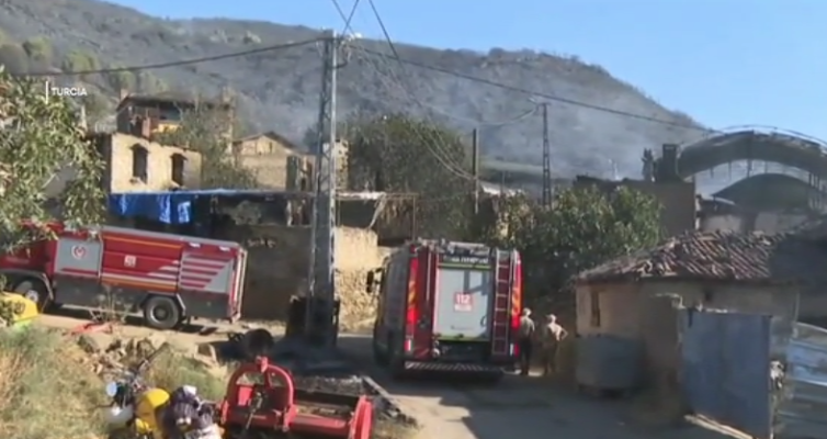 Incendiile de vegetaţie provoacă pierderi uriaşe în Grecia şi în Turcia