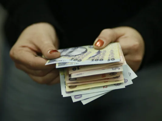 Guvernul alocă 50 de milioane de lei pentru ANSVSA din cauza febrei aftoase