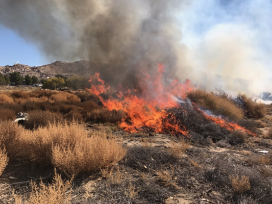 Insula Chios, în stare de urgență: incendii necontrolate amenință locuințe, rețeaua electrică și culturile de mastic