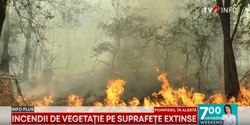 Incendii de vegetație în mai multe județe ale țării. Peste 3.000 de hectare de teren au fost afectate de arderile necontrolate