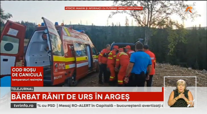 Un cioban a fost atacat de un urs, în județul Argeș. Bărbatul a fost transportat la spital