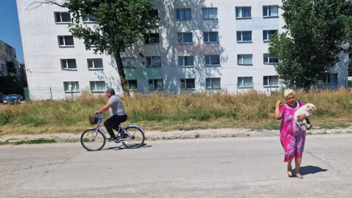Latră pantera-n Giurgiu! Isterie: Sosirea animalului de pradă în ghetoul Istru