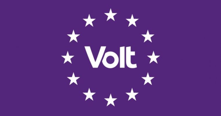 Partidul Volt România și-a ales noua conducere