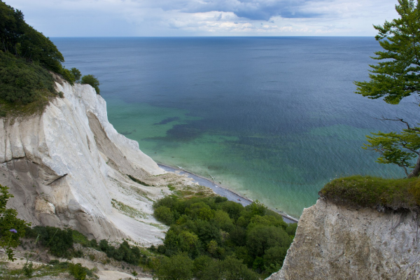 Fosile, păduri și orhidee sălbatice: o experiență unică pe stâncile albe din Danemarca