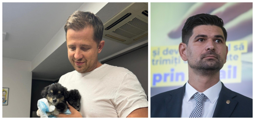 Alianța Hubert Thuma-George Tuță. Cine sunt angajații primăriei Sectorului 1 migrați de la CJ Ilfov / Cum a ajuns șefa de la Protecția Animalelor să ocupe funcția de director de mediu, cu un salariu de 4 ori mai mare, prin detașare de la Consiliul Județean Ilfov