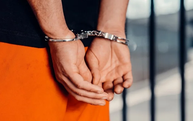Un fost ministru moldovean al Justiţiei, Vitalie Pîrlog, suspectat de participare la ştergerea unor notiţe roşii ale Interpol vizând infractori fugari, arestat în Emiratele Arabe Unite