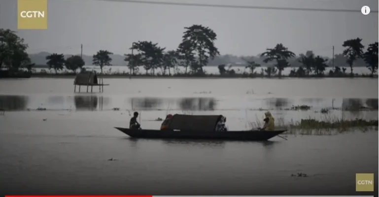 Ploile musonice au sosit cu opt zile mai devreme în India, punând capăt caniculei intense și oferind perspectiva unor recolte bogate