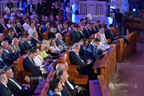 PNL: Noul statut al partidului, adoptat de Consiliul Național