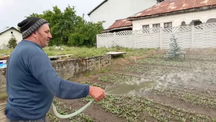 Măsuri extreme în Dolj: Cine udă grădina cu apă de la robinet plătește de patru ori mai mult