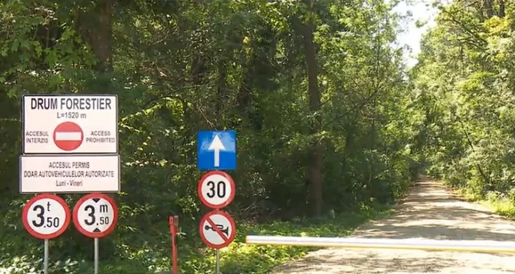 Scandalul legat de folosirea drumului forestier din Pădurea Băneasa revine în atenție. Dacă Romsilva deschide drumul forestier pentru cartierul Greenfield, vor fi demiși șefii Regiei și ai Direcției Silvice Ilfov, spune ministrul Mediului