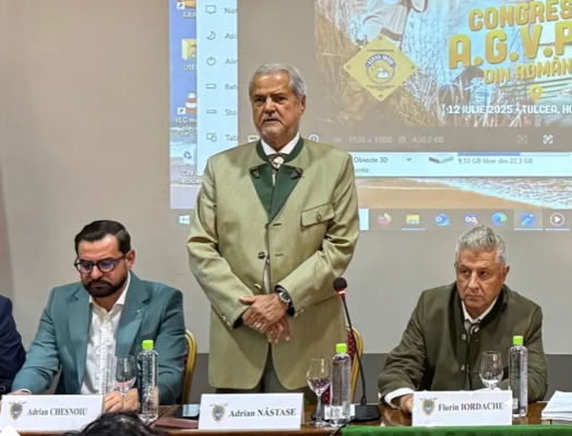 Adrian Năstase face o analiză extrem de dură a PSD-ului: Au ajuns a cincea roată la căruța guvernării