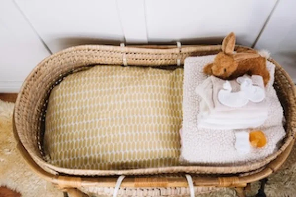 Coconul perfect – cum alegi babynestul ideal pentru bebelușul tău
