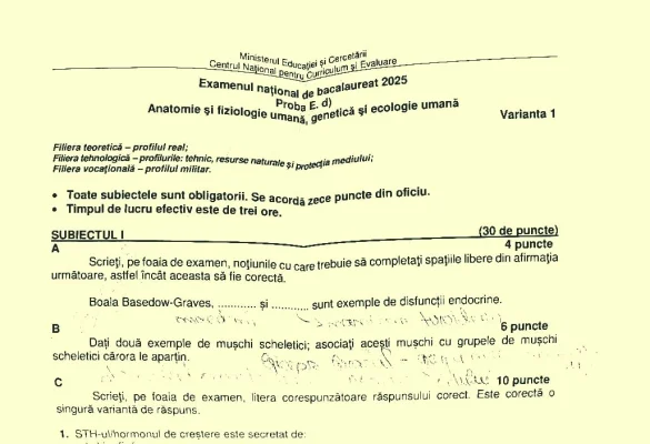 Subiecte Biologie – Anatomie umană BAC 2025