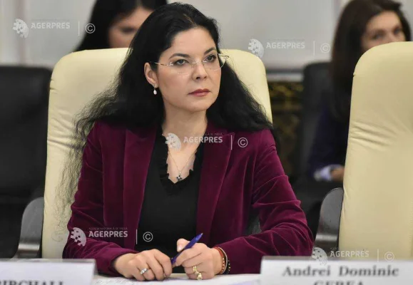 Birchall: Decizia CCR de a elimina caracterul public al declarațiilor de avere și interese - un regres grav și periculos