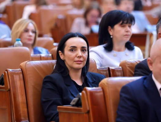 Deputații PSD invită Guvernul la colaborare pentru legea împotriva hrănirii urșilor