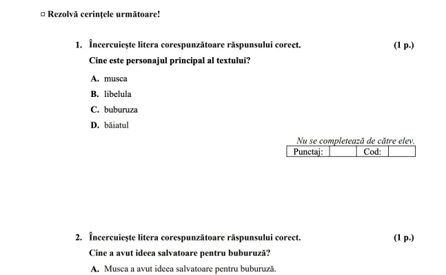 Subiectele de la Evaluarea Națională de clasa a IV-a 2025 – Limba română. Elevii au avut de prezentat „patru motive pentru care este bine să ai prieteni adevărați”