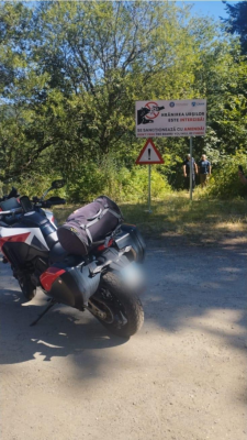 Motociclist atacat de urs pe Transfăgărășan