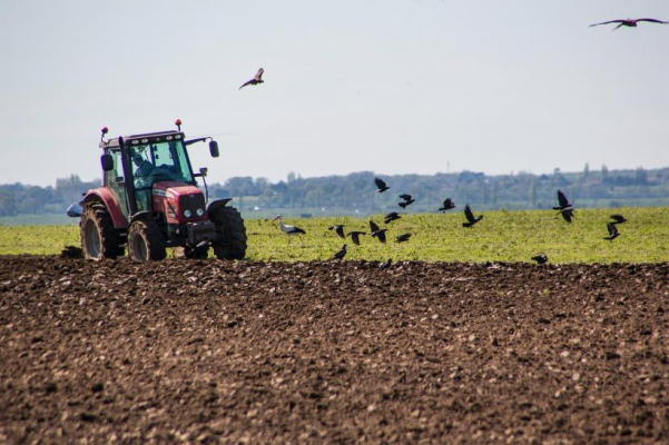 APIA: Peste 700.000 cereri de plată pentru circa 9,900 milioane hectare au fost depuse de fermieri în 2025