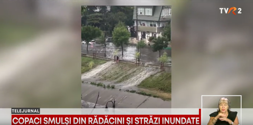 Furtuni violente în mai multe județe din țară: grindină uriașă, copaci smulși și inundații în zone urbane