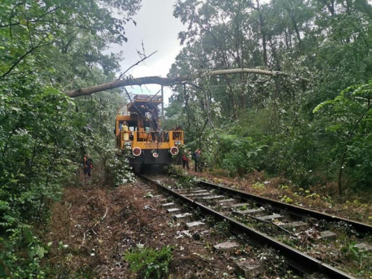 Furtuni în România: Trenurile au întârziat ore în șir după ce crengile au căzut pe cablurile electrice