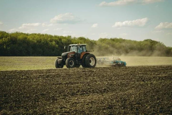 România, de la „grânar al Europei” la exportator de produse cu valoare adăugată. Nicușor Dan cere o strategie națională pe 10 ani