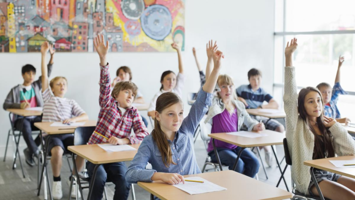 Ministrul Educației: Am ajuns să dăm bursă de merit la nota 5. Haideți să fim cinstiți
