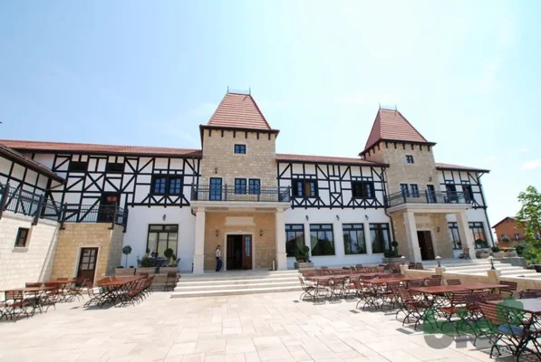 O clinică din Timișoara s-ar putea muta într-o berărie /  Castelul Royal de la Moșnița Nouă e scos de vânzare la 4 milioane de euro / Consiliul Județean Timiș l-ar cumpăra cu 2 milioane
