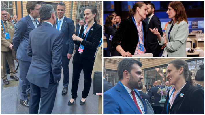 Când diplomația devine catifea moale. Sau cum ministrul român de externe s-a prezentat la NATO ca într-o seară de lounge